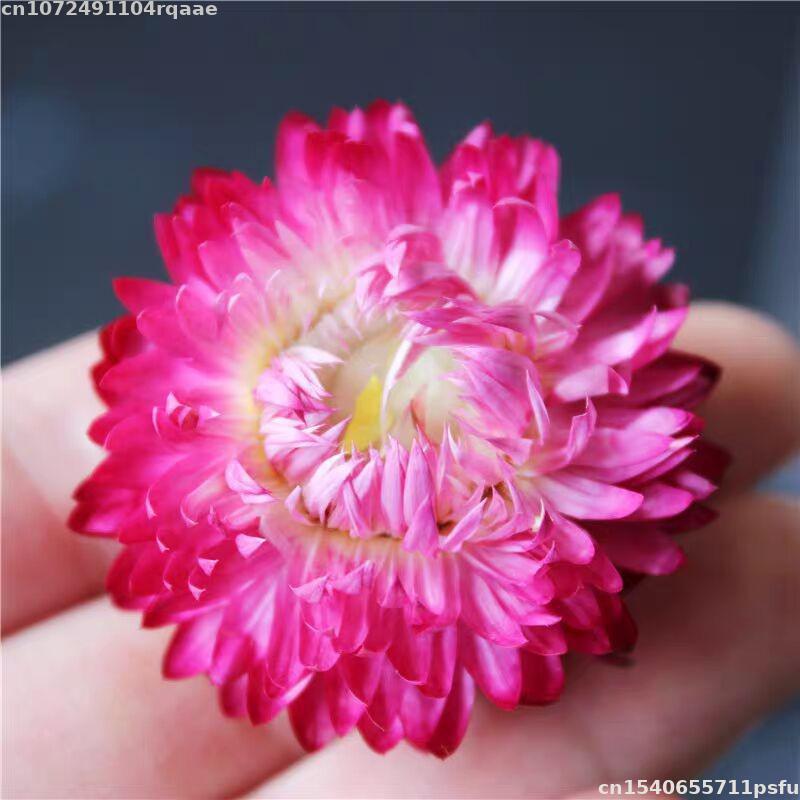 100% Natural Dried Flowers Bra - Soap Making Material Wholesale 评论和价格