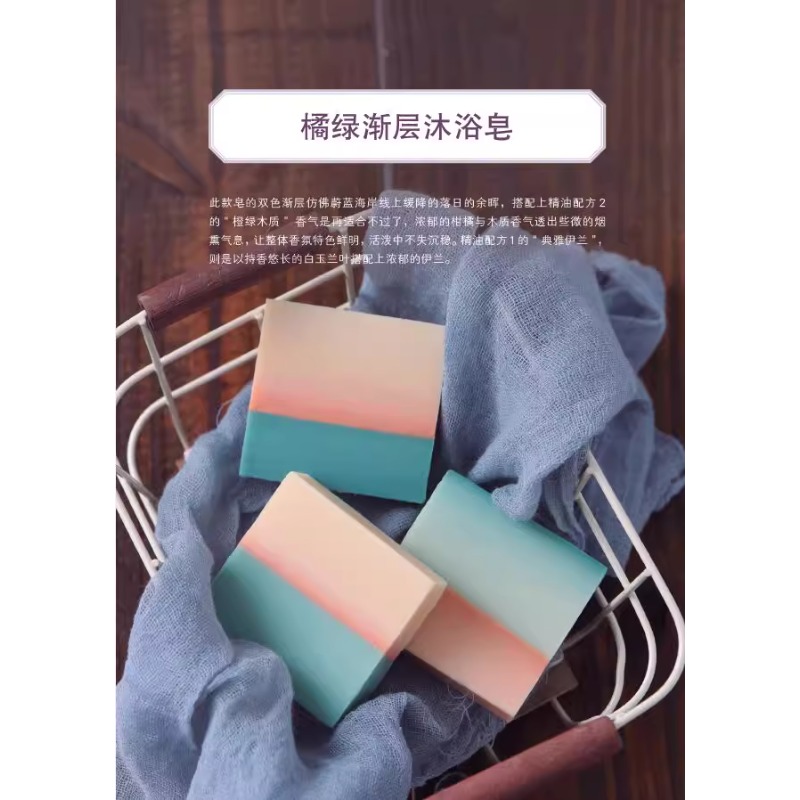DIY Scented Soap Making Book w - Soap Making Recipes 评论和价格